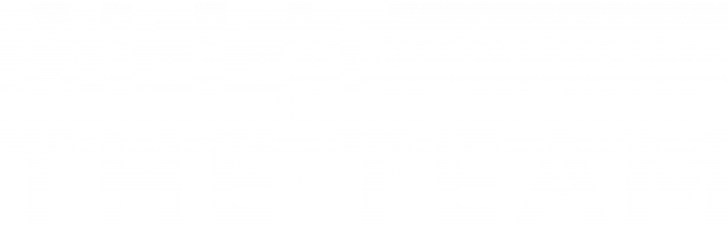 Meet the Team